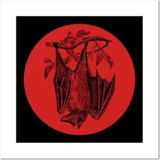 Halloween Bat, Omens, Signs, and Fortunes - Red and Black Style Posters and Art